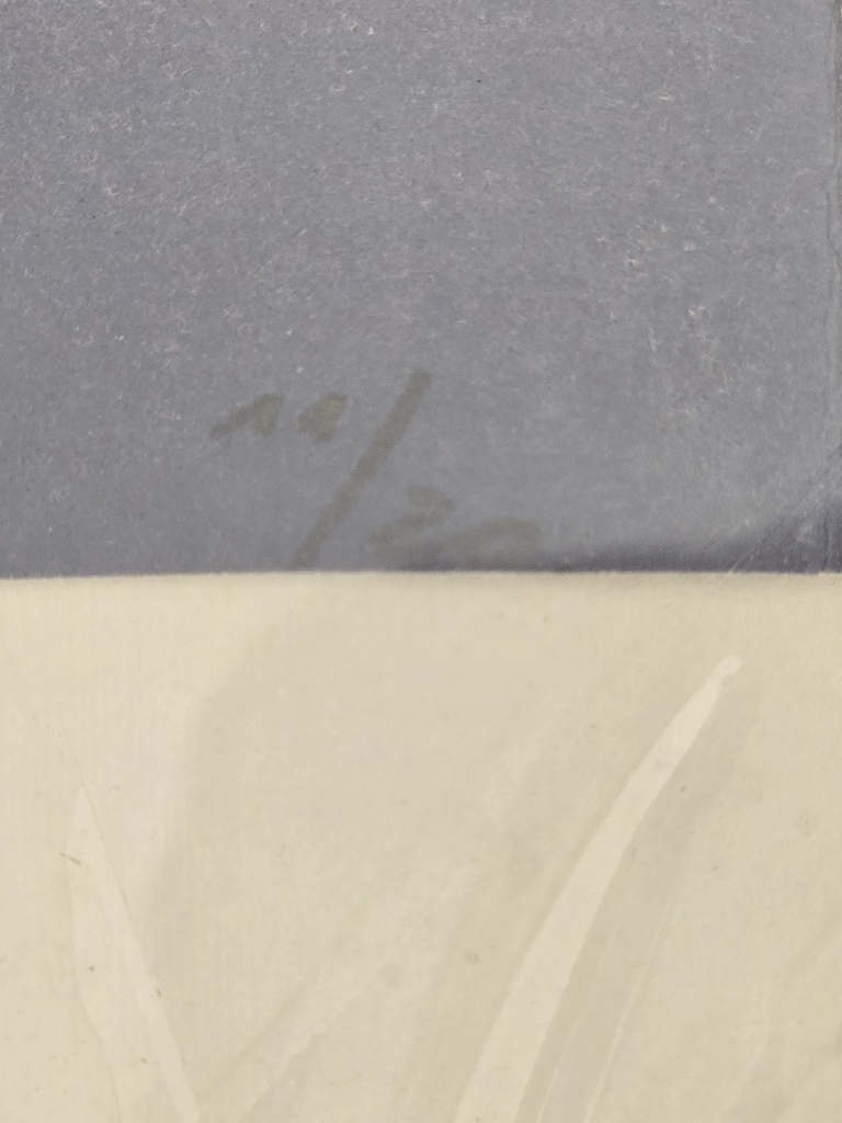 Farbverlauf, Grafik, von Reckewitz, 1968, 11/20